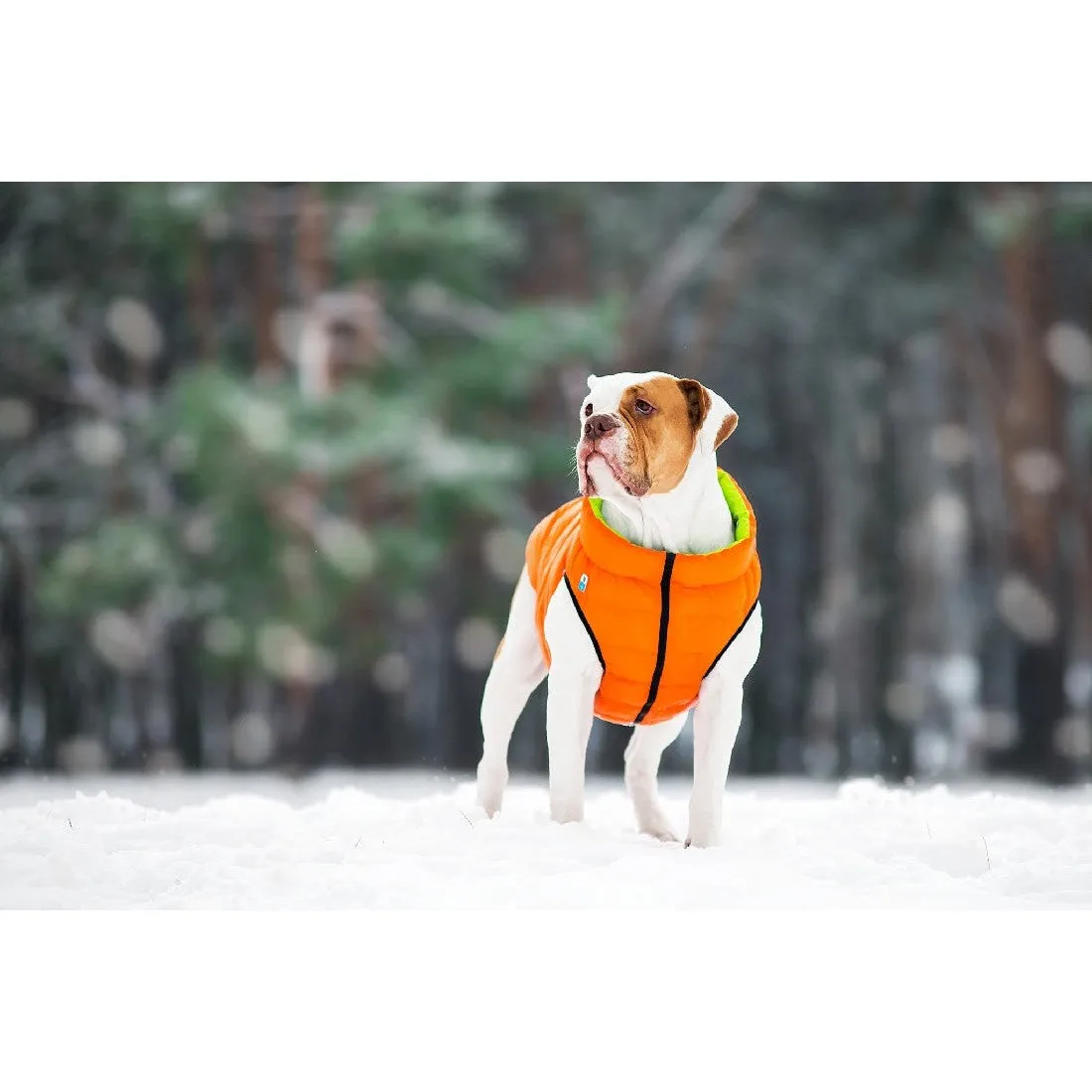 Airyvest Coral & Grey