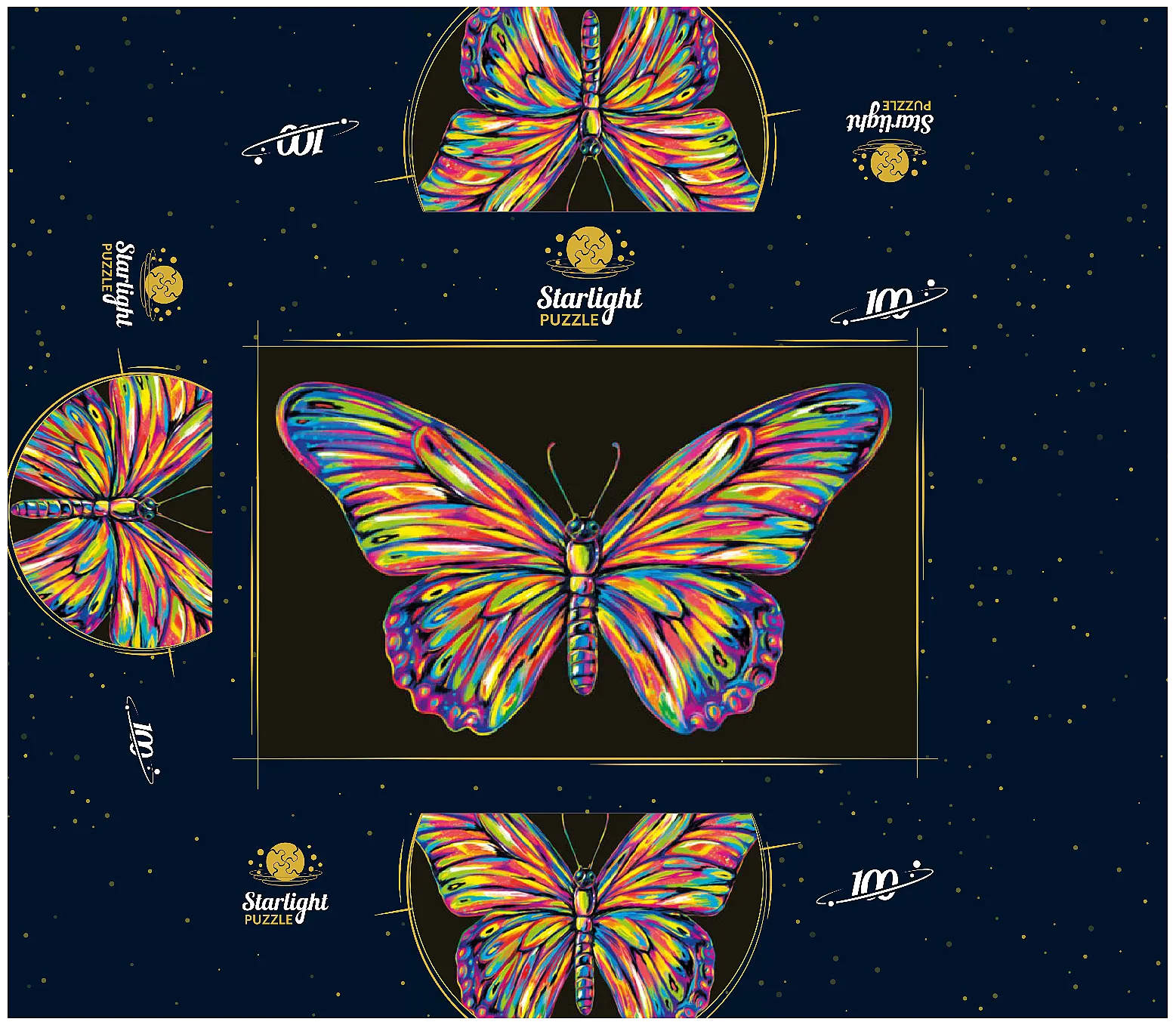 Colorful Butterfly