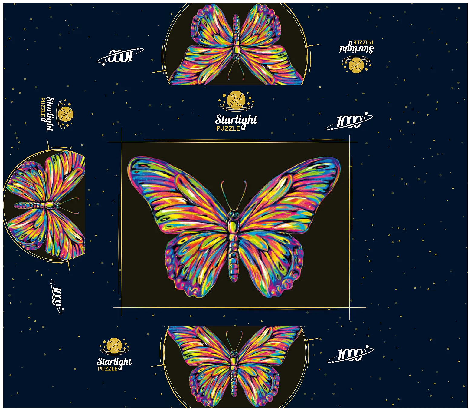 Colorful Butterfly