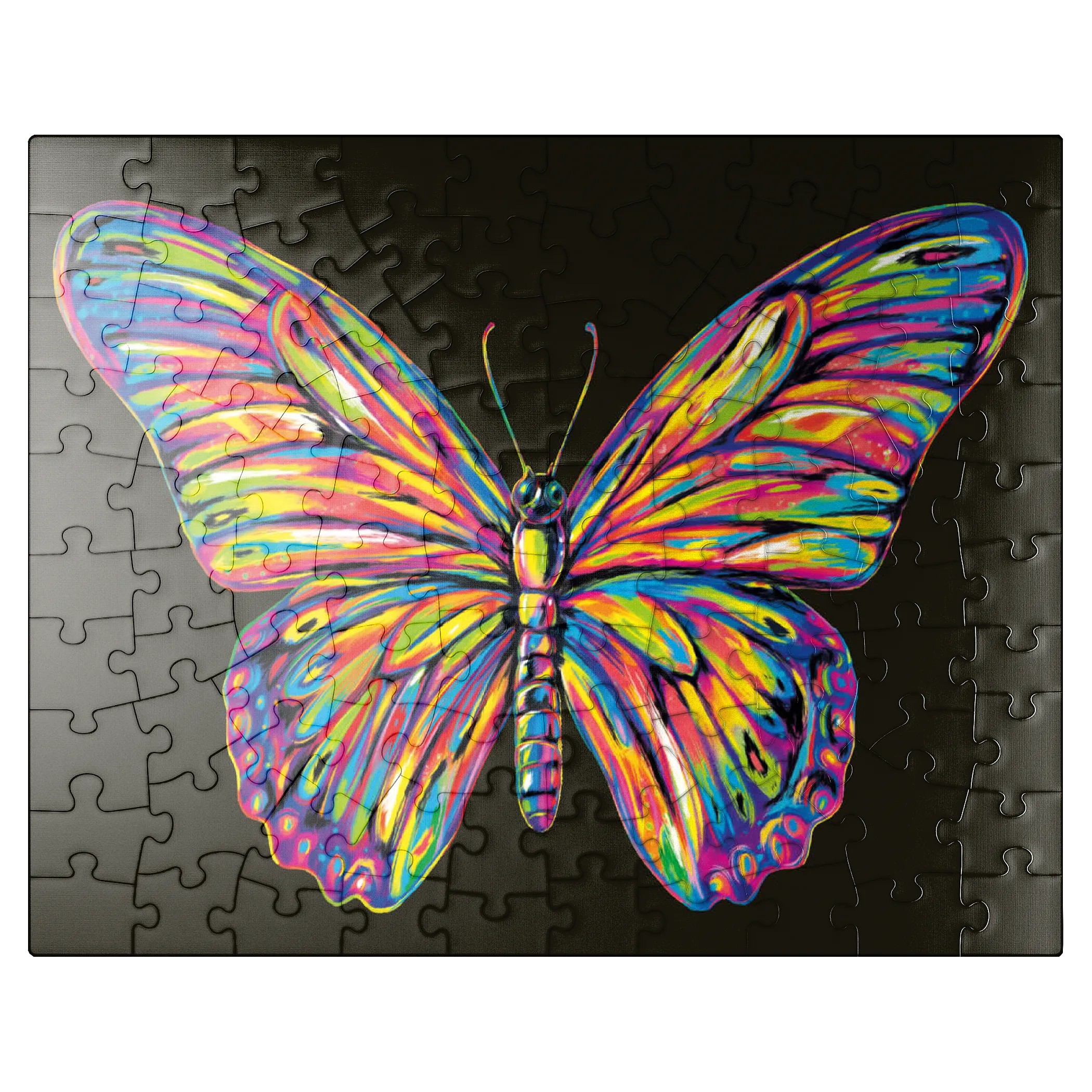 Colorful Butterfly