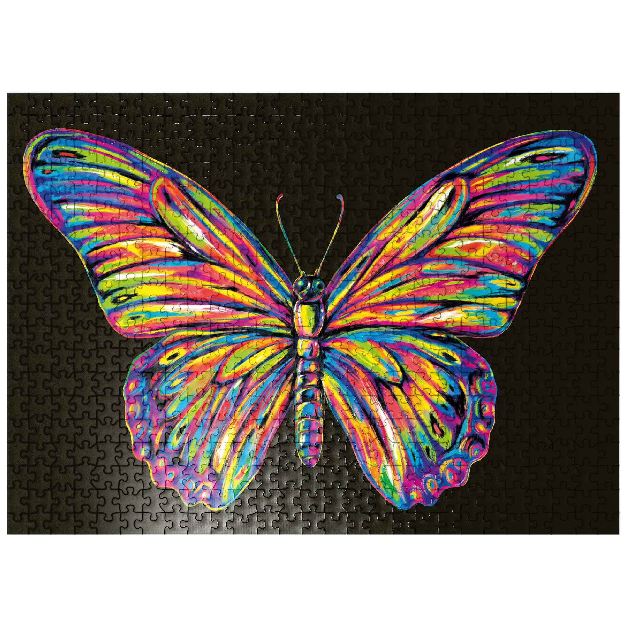 Colorful Butterfly