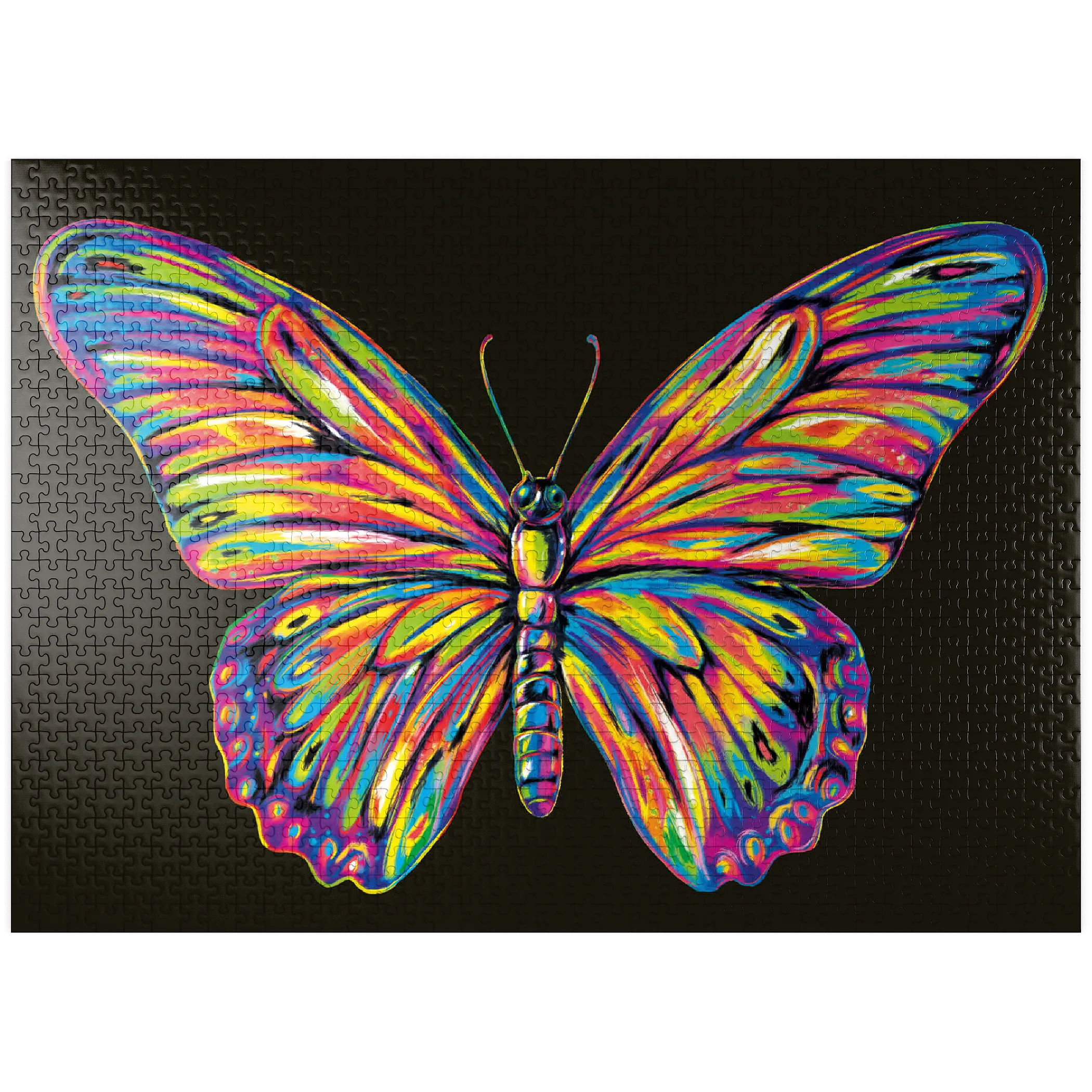 Colorful Butterfly