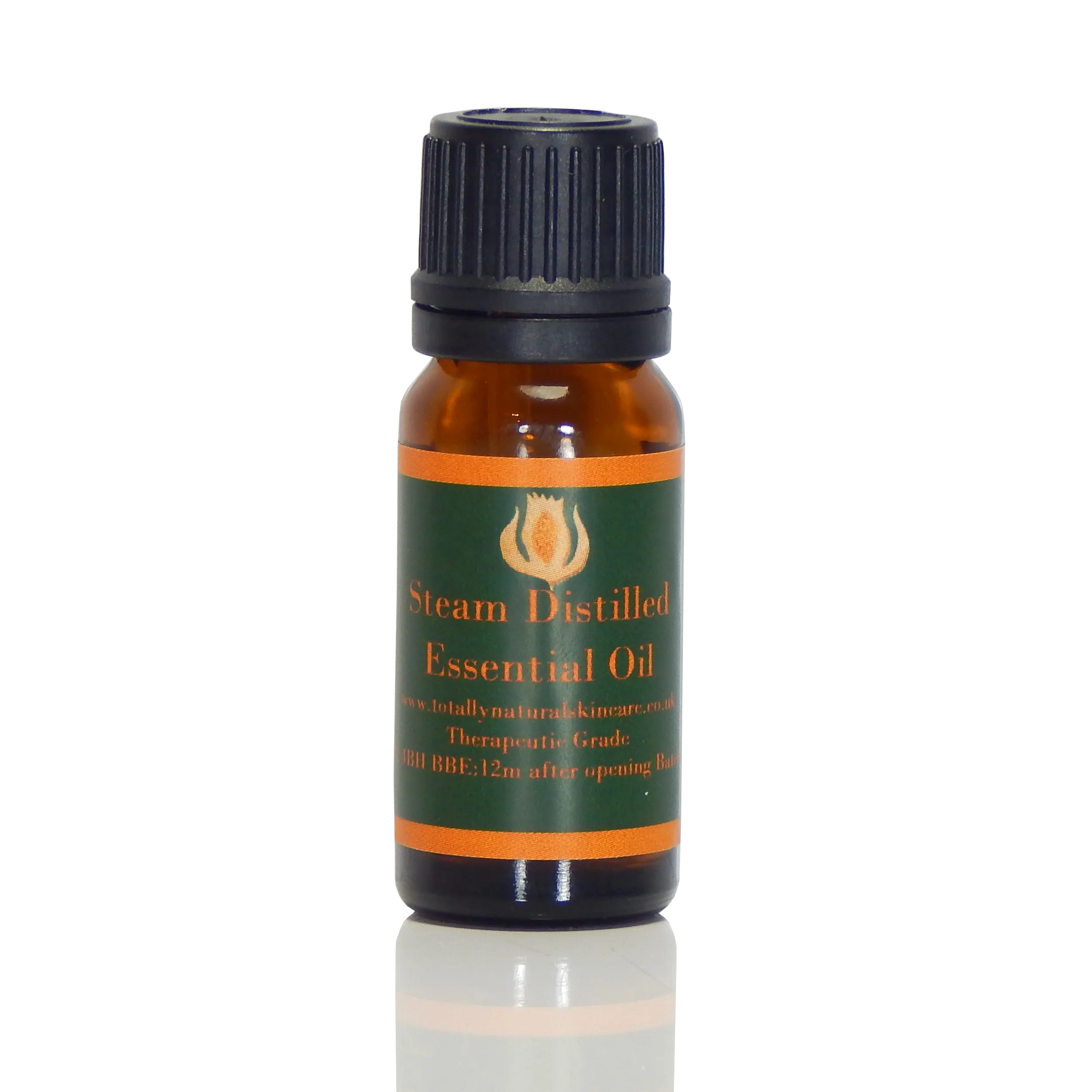 Hyssop, English essential oil