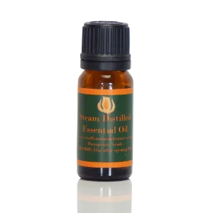 Hyssop, English essential oil