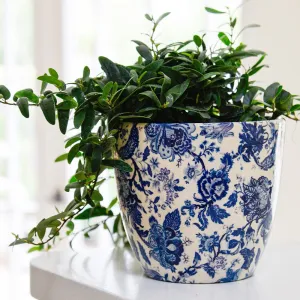 Monza Vintage Blue Indoor Ceramic 16cm Pot