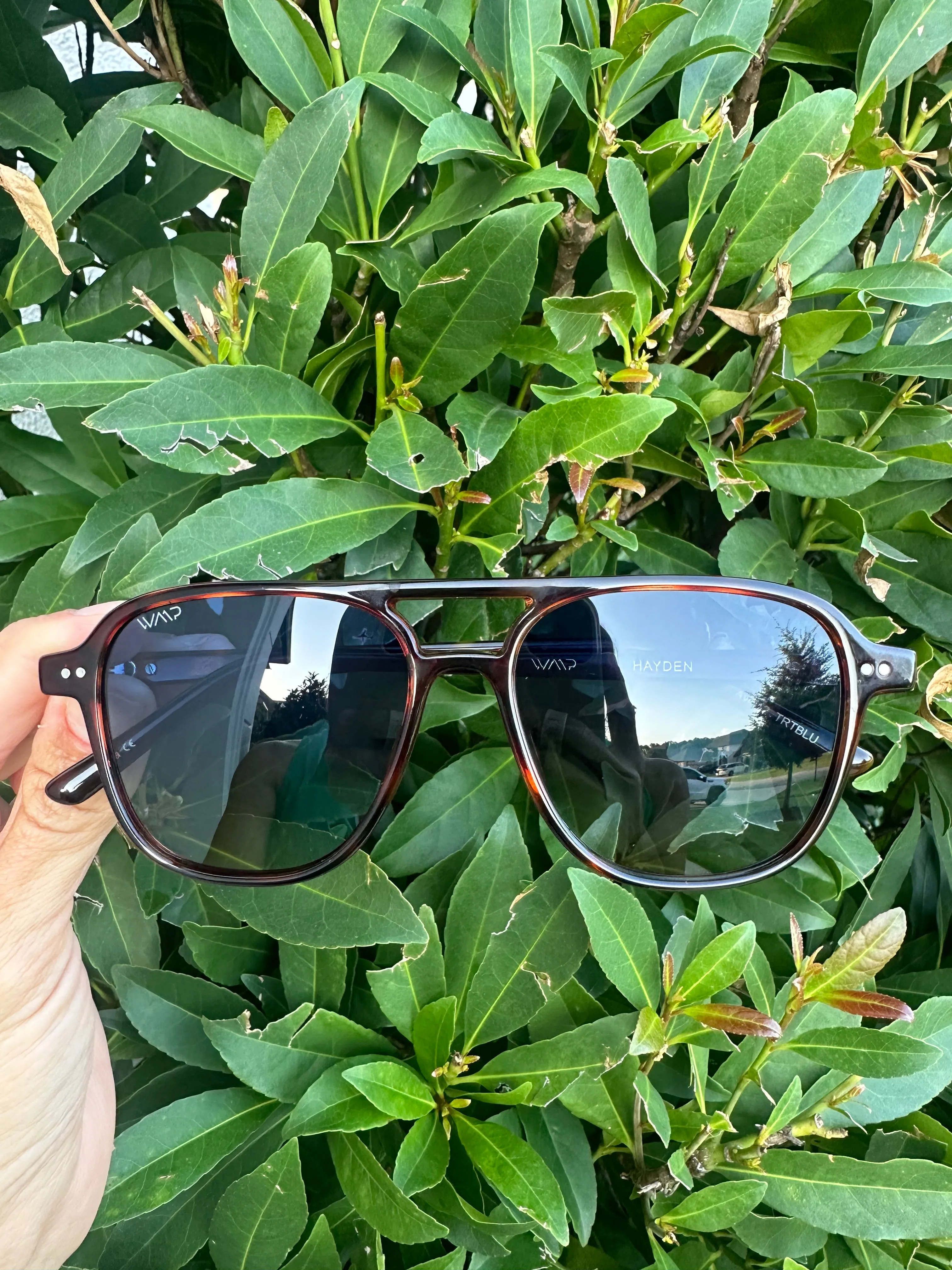 Sunglasses- Hayden Whiskey Brown/Blue Lens